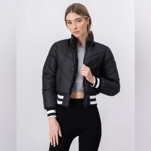 Miss Posh Outerwear Black Puffer Jacket